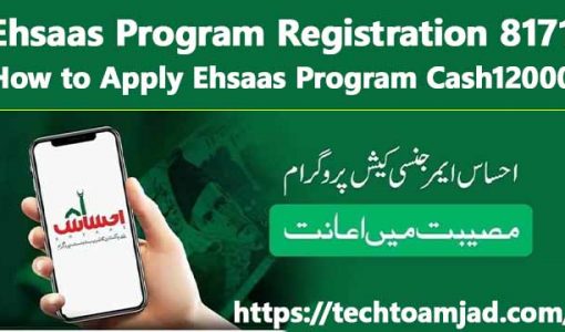 Ehsaas Program Registration 8171 – How to Apply Ehsaas Program Cash12000