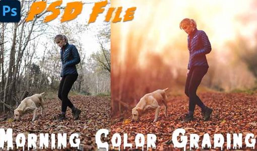 Morning Color Grading PSD File in Photoshop Project Free Download