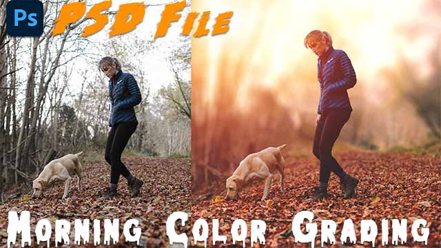 Morning Color Grading PSD File in Photoshop Project Free Download
