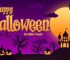 Halloween Party Promo 34114743 – Free Download After Effects Template