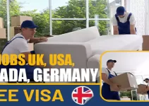 Free Visa Jobs In UK, USA, Canada, And Germany